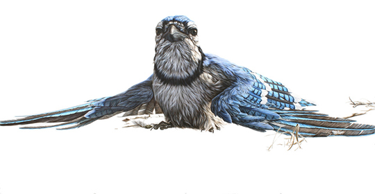 Anting   55"X108" - ink on paper-2011