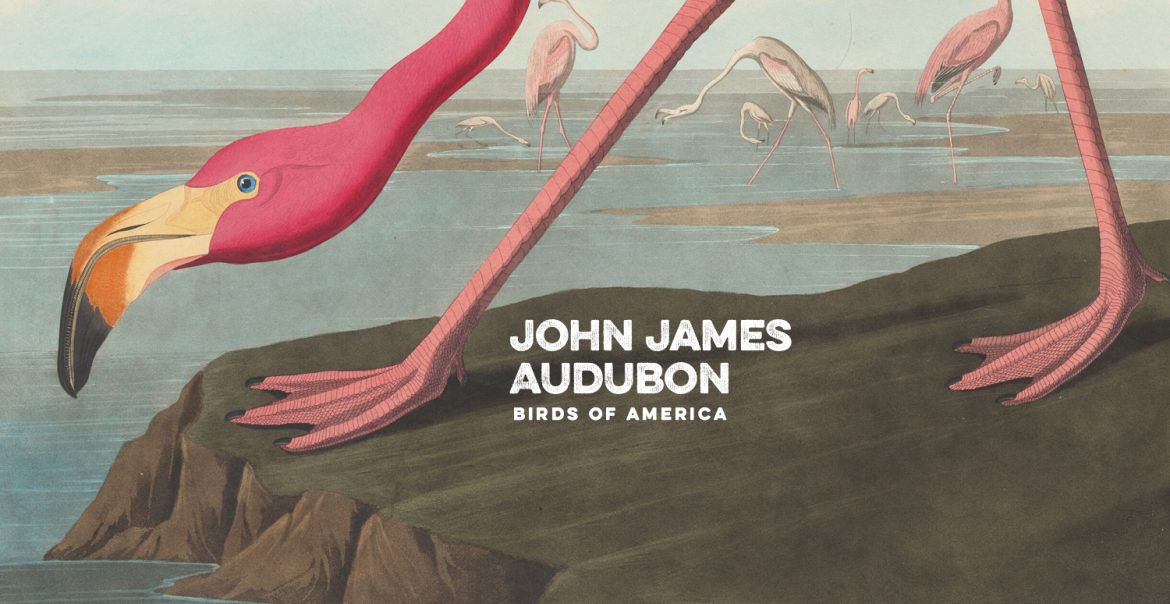 James Audubon - Famous Bird Artist